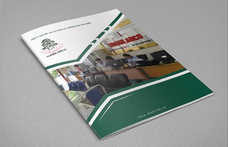 Thiết kế profile | hồ sơ năng lực CT Hợp tác Lao động và TM Thái Bình