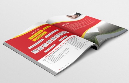 Thiết kế profile Tổng Cty XD Trường Sơn - Bộ Quốc Phòng