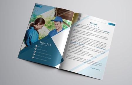 Thiết kế profile | hồ sơ năng lực CT Chuyển phát và Giao nhận FSD