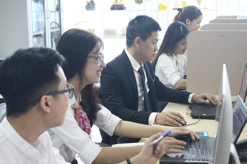Lập trình viên WordPress