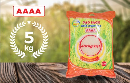 Thiết kế bao bì công ty Hưng Việt