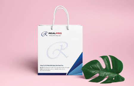 Thiết kế bộ nhận diện Công ty Real Pro