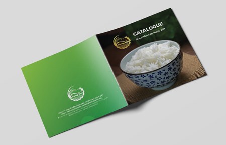 Thiết kế profile | hồ sơ năng lực CTCP Hưng Việt