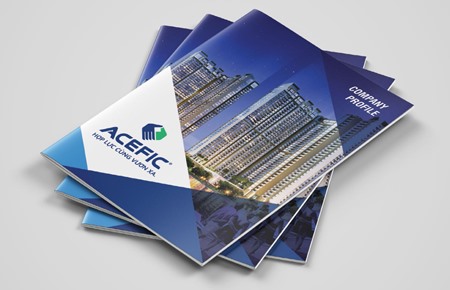 Thiết kế profile CTCP Đầu tư và XD ACE Thái Bình Dương