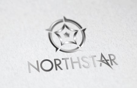 Thiết kế logo công ty cổ phần NORTHSTAR 2021