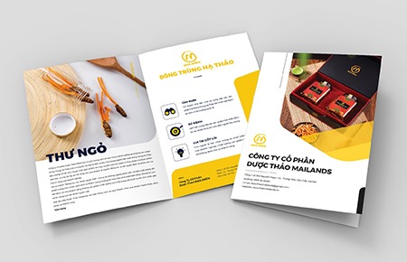 Thiết kế bộ nhận diện thương hiệu ĐÔNG TRÙNG HẠ THẢO