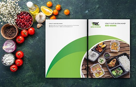 Thiết kế profile Công ty SACN Bảo Khang