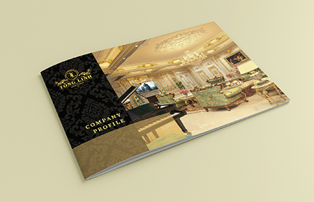 Thiết kế profile CT TNHH Thương mại và Nội thất Tống Minh