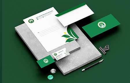 Thiết kế bộ nhận diện thương hiệu Công ty Cây xanh Hải Đăng